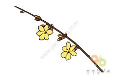 迎春花简笔画教程