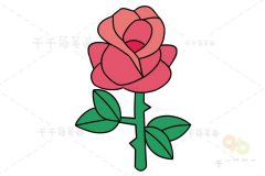 玫瑰花简笔画图片 儿童画
