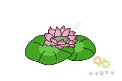 莲花简笔画如何画