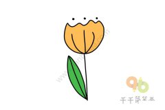 盛开的郁金香简笔画