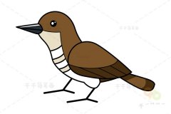 布谷鸟简笔画教程