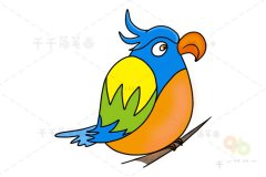 彩色的鹦鹉简笔画图片