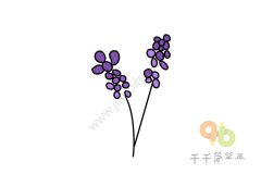简单画 薰衣草简笔画