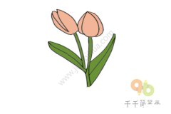 花香四溢的郁金香简笔画