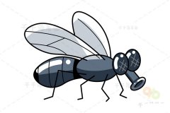 果蝇简笔画