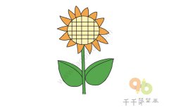 漂亮的向日葵简笔画