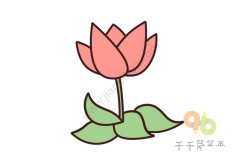 简单画 郁金香简笔画