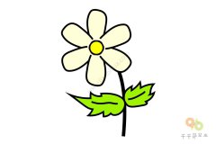 花中隐士 菊花简笔画