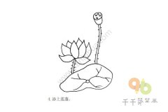 美丽的荷花简笔画步骤图大全