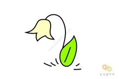 盛开的铃兰花简笔画