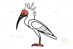 朱鹮简笔画教程