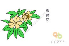 香甜花简笔画图片