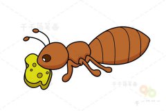 吃奶酪的蚂蚁简笔画