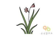 简单的兰花简笔画