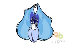 紫雀花花瓣简笔画步骤图