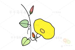 漂亮的喇叭花简笔画