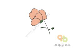 盛放的蝴蝶花简笔画