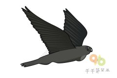 怎么画隼的简笔画图片