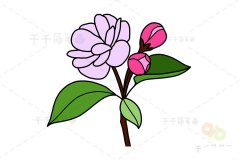 海棠花简笔画 儿童画