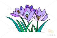 白番红花简笔画