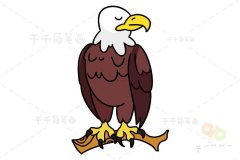 老鹰简笔画步骤教程