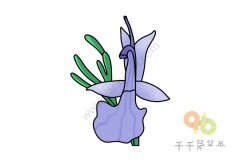 迷迭香简笔画教程