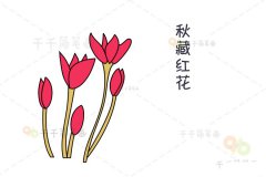 粉红色秋藏红花简笔画