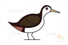 白胸苦恶鸟简笔画