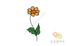 黄色的茼蒿花简笔画