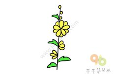 简单的小黄花简笔画