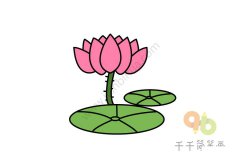 美丽的莲花简笔画图片