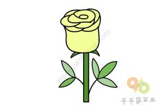 玫瑰花简笔画的画法