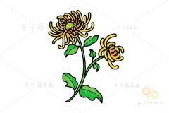 菊花怎么画简单又好看