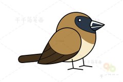 白腰文鸟简笔画