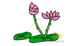 漂亮的荷花简笔画
