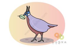 教你画勺鸡简笔画教程