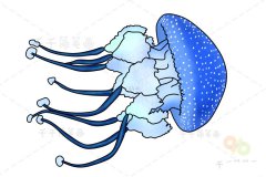 简单可爱的水母亲子简笔画 原来水母有这么多种