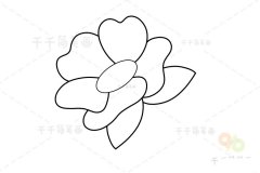 犬玫瑰简笔画步骤图