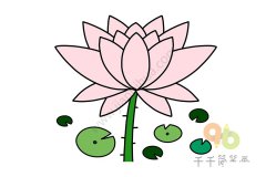 漂亮的荷花简笔画步骤图