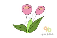 独特别致的郁金香简笔画图片