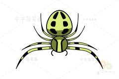 秋麒麟蟹蛛简笔画