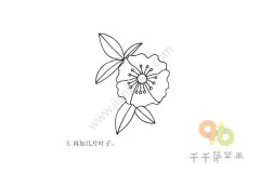 漂亮的山茶花简笔画步骤图