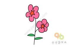 漂亮的蜀葵简笔画