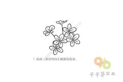 漂亮的山蔷薇简笔画步骤图