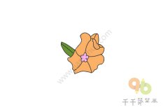 漂亮的蝴蝶花简笔画图片