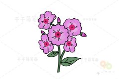 福禄考简笔画图片