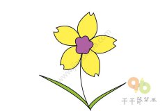 黄色花朵简笔画