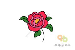 红彤彤的山茶花简笔画