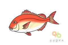 种类繁多的鱼儿简笔画图片大全