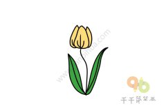 漂亮的郁金香简笔画